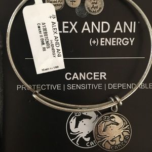 Alex and Ani Cancer Bracelet